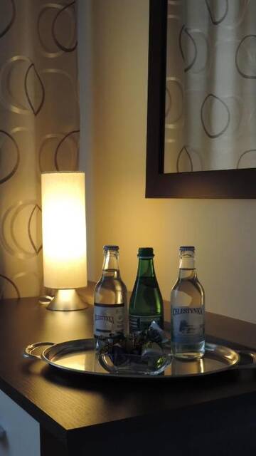 Фото номера Улучшенные апартаменты Апартаменты Apartament Grey г. Ивонич-Здруй 10